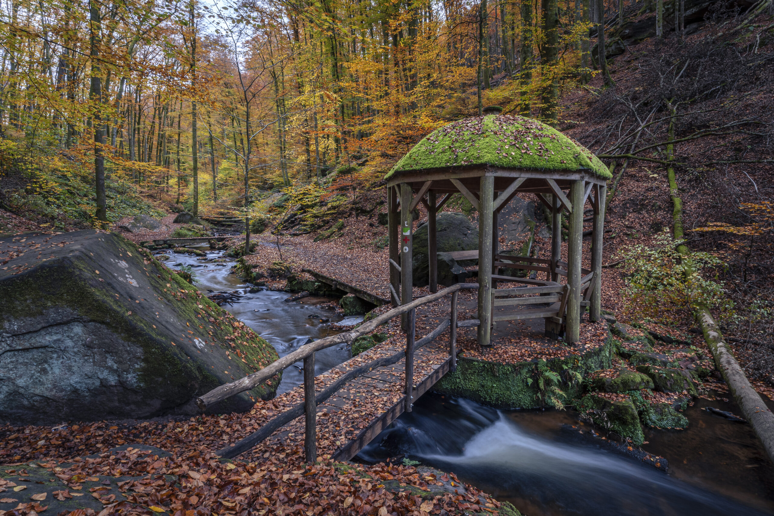 Foto Landschaft Karlstalschlucht in der Pfalz im Herbst