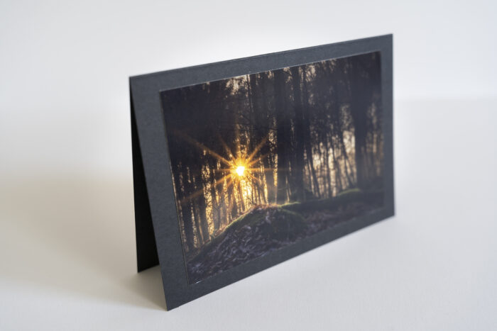 Foto Produkte Grußkarten Wald